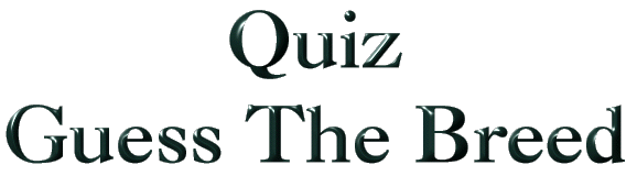 Quiz